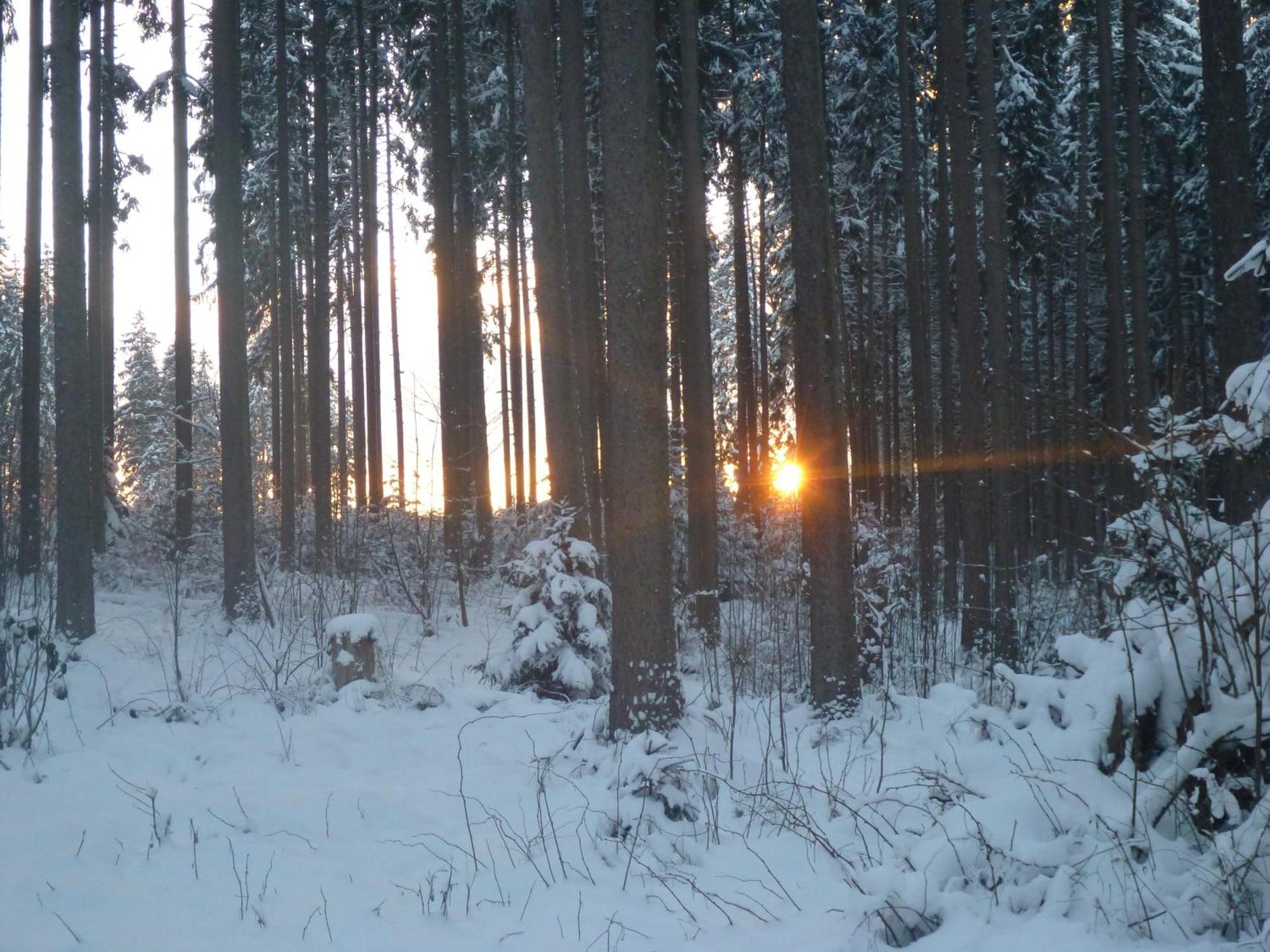 Gaestehaus Hundelbach Ленцкірх Екстер'єр фото